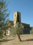 Vista dell'Abbazia di SAnt'Antimo (24kb)